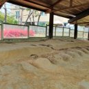 반송 탄요유적공원 탄요지 이미지