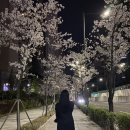 비에이치씨(bhc)금천구청점 이미지