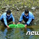 성공수산