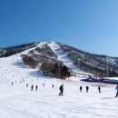 강촌 상상역 | 서울근교 엘리시안강촌 스키장 렌탈샵 강습 리프트권 할인 비용 완벽 정리