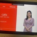티티엘(T.T.L) | 가벼운학습지 영어, 2주차 (2) [습관형성 1~12주차]