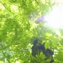 자연속에서-산 이미지