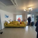 고래한마리277 이미지