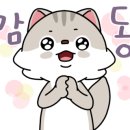 밤나무산장 이미지