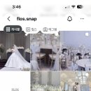 플로스flos | *FLOS SNAP(플로스 스냅)*웨딩 본식 아이폰 스냅 계약 후기(짝꿍코드 있음)