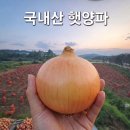 로얄상회 쇼핑하우