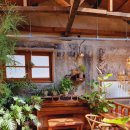 대화중앙로 이미지