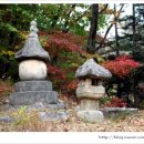 화담당 경화탑 이미지