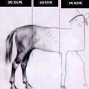 간지남 | 학교에서 공짜로 받은 코멘토 "브랜드 마케팅" 5주 간의 직무부트캠프 오바 없는 찐 리얼 후기