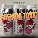 지에스(GS)25송내퍼스트점 | GS 편의점 하이볼 도수 낮은 맛있는 술 아이긴 새콤토닉 자두맛 추천!