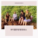 뷰티풀한방병원 이미지