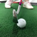 평촌 탑 골프연습장 이미지