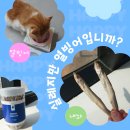 부림건어물 | 고양이 간식 추천 캣디피 프레시트릿 열빙어 리뷰