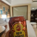 kim's home | 보홀 여행 후기 4일차 (보홀 킴스 밥, 도도 스파, 헤난 알로나비치 리조트, 하누리) 2025.7.6