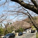 갈담1리 이미지