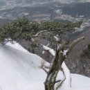 Re:미리 가본 축령산 이미지