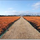 풍경목장 이미지