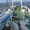 목섬 공중화장실 이미지