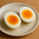 클로버짐 이미지