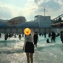 스테프핫도그(캘포점) | 극 성수기에 다녀온 캘리포니아비치 후기