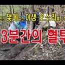 안병일 농장 네이버블로그
