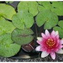 경주농원 이미지