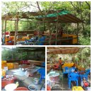 숲이랑농원 이미지