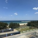 광경원 | 남애항 근처 오션뷰 펜션! 동해 일출도 보고 서핑도 배울 수 있는 감성 숙소 ‘광경원’ 내돈내산 후기