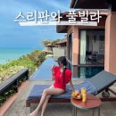 애플팸럭셔리풀빌라리조트 | 푸켓 스리판와 리조트 럭셔리풀빌라 투숙후기