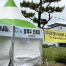 법성포뉴타운 1교 | 2026 법성포단오제 먹거리 푸드트럭 정보
