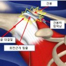 스포데이 휘트니스 평택 용이점 이미지