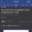 참사 당일 한강 선상 불꽃놀이 업체 &#39;6개월 운항 금지&#39; 처분 이미지