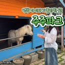 대관령주주파크 | 평창 대관령 아이와 가볼만한곳, 대관령 주주파크 리뷰