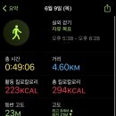유월구일