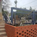 아띠제노스랩 이미지