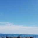 송라해송펜션 이미지