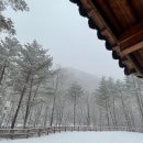 국립삼봉자연휴양림 티스토리