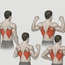 M PT GYM | [연산PT/연산헬스] 광배가 안 느껴지는 이유