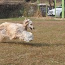 아이페티앙 이미지