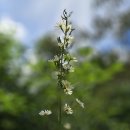 명월2리 이미지