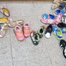 창평초교 유치원 이미지