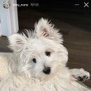 햇내로13번길 이미지