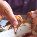 달래식당 - 홍성군 | 달래식당