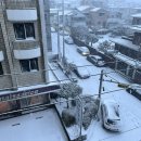 합기도제주중앙 이미지