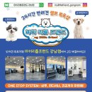 마이리틀프렌드 강남점 이미지