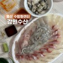 강원수산횟집 | 울산 수암회센터 강원수산, 야음동 횟집 제철 모듬회 포장 후기