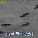 백정 - 울릉군 봉래2길 11 | 백정