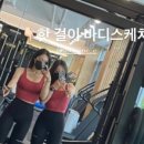 바디스케치 이미지