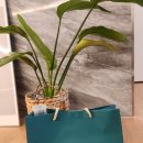 린헬스케어 유한회사 | 혈당관리 식이섬유 액상시럽｜스위트린 리얼 사용 후기