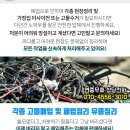 씨드랜드프라자 이미지